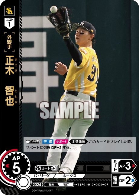 正木　智也