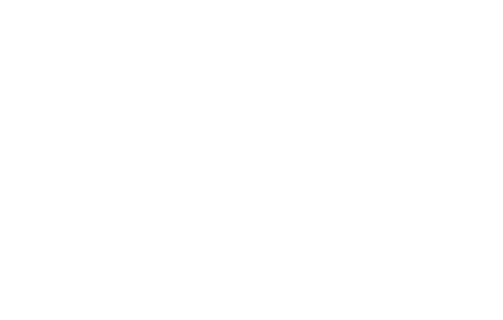 DREAM ORDER