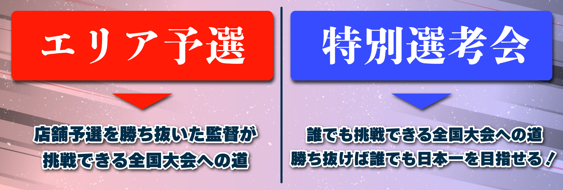 ドリームオーダー日本選手権 2024 - EVENT（イベント）- プロ